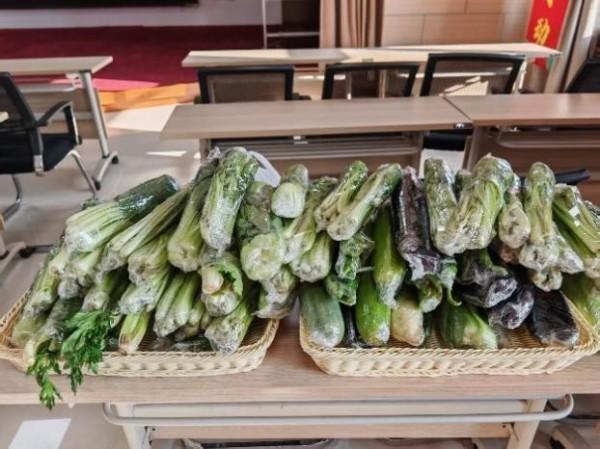 阳光人寿开展2025年春节主题活动 共赴温暖之约