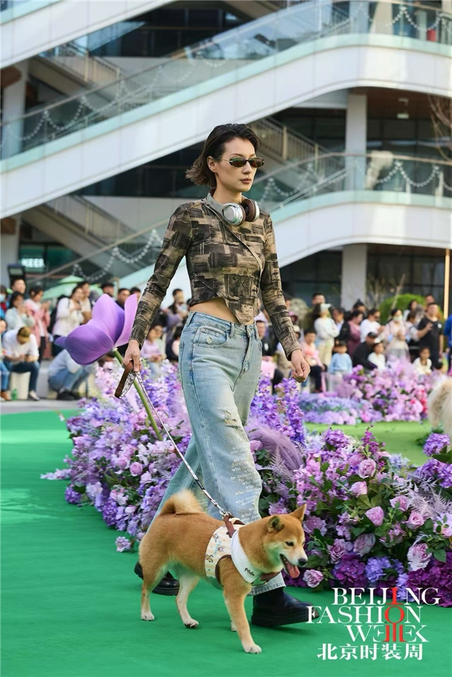 萌宠T台秀！北京时装周时尚悦享节·东坝万达时尚宠物SHOW