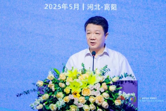 京津冀纺客齐聚高阳，共启协同发展新章