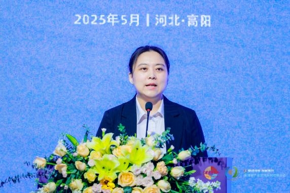 京津冀纺客齐聚高阳，共启协同发展新章